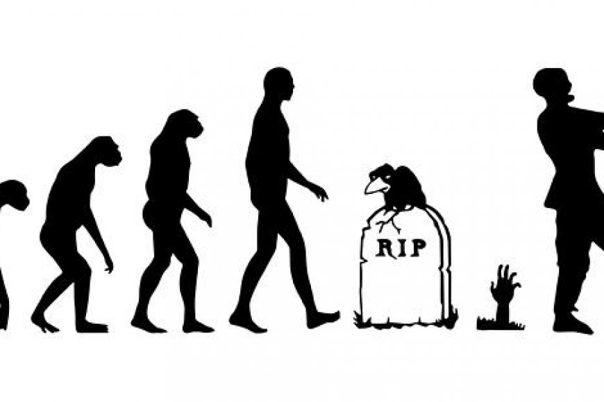 The Evolution of Zombie Video Games Zompedia