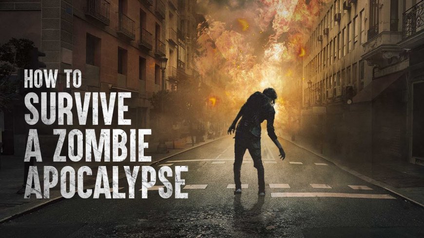 Zombie Survival Strategy: Discovering Your Best Approach