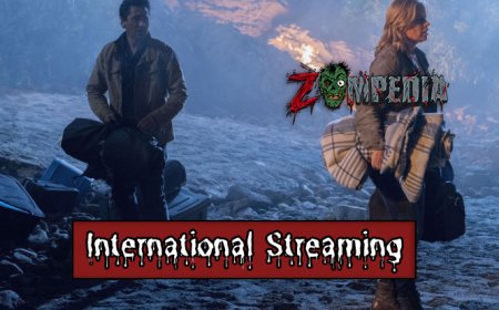 International Streaming Options for Fear the Walking Dead