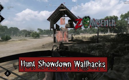 The Impact of Wallhacks on Hunt Showdown Gameplay