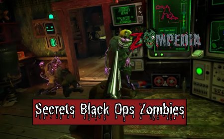 Top 10 Secrets in Game Black Ops Zombies