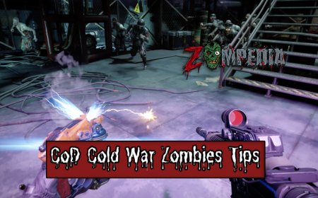 Top 10 CoD Cold War Zombies Tips